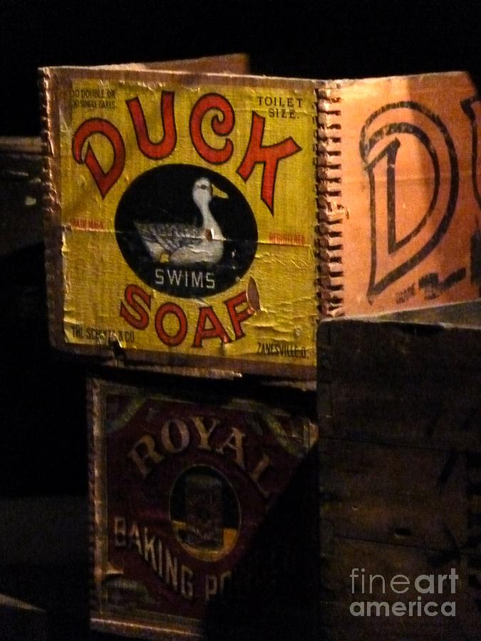 Duck Soap Photograph by Newel Hunter