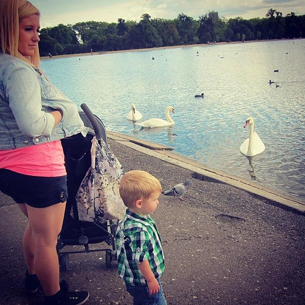 London Photograph - Duck Watching With The Greatest by Stephanie Brown