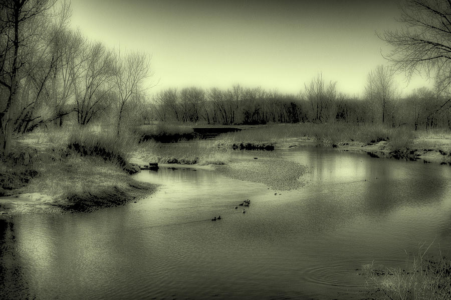 Ducks on the South Platte River II Photograph by David Patterson