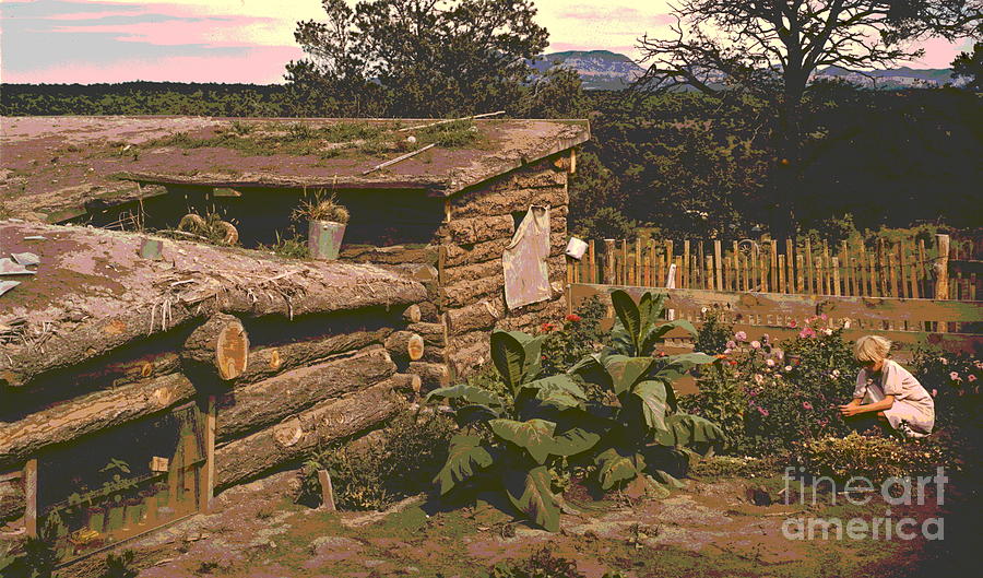 Dugout Home with Garden Photograph by Padre Art