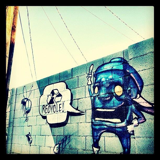Phoenix Photograph - #dumpster #phxstreetart #streetart by CactusPete AZ
