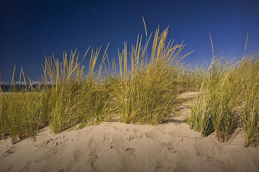 Dune and Beach Grass on Lake Michigan No.969 Photograph by Randall Nyhof