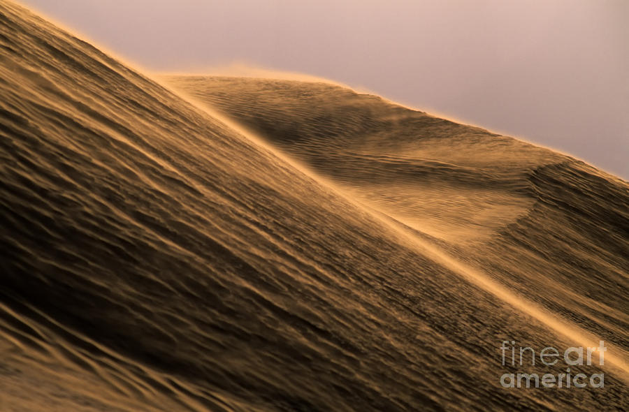 Dune Photograph by Bob Christopher