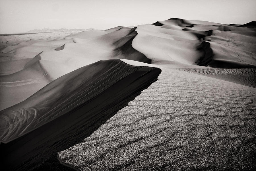 Dune Crest Photograph