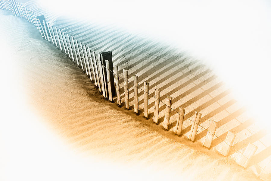 Dune Fence by Dan Carmichael Dune Fence by Dan Carmichael