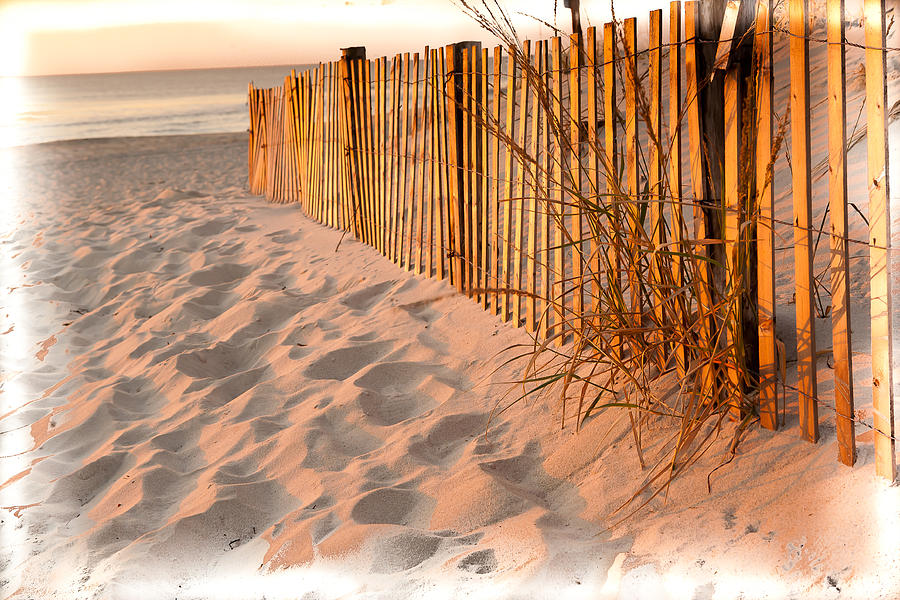 Dune Fence Photograph by Kyle Lee