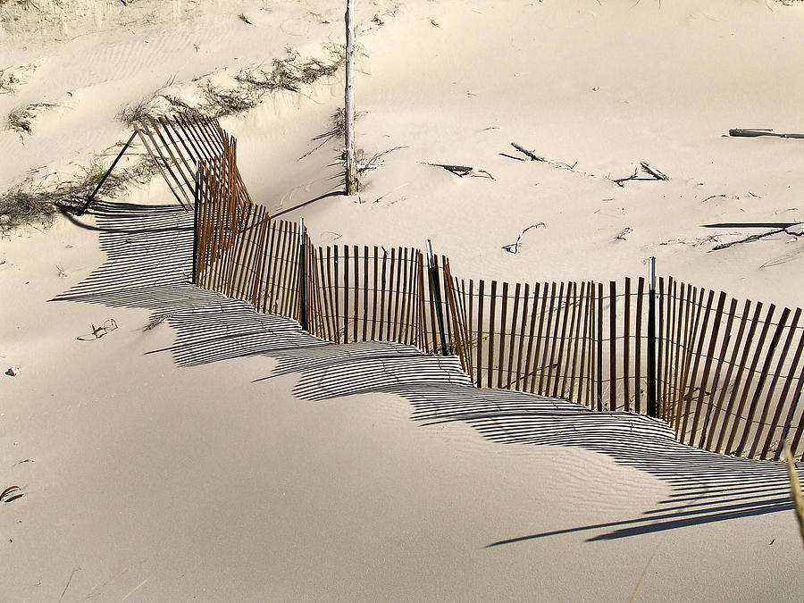 Dune Fence Photograph by Richard Gregurich