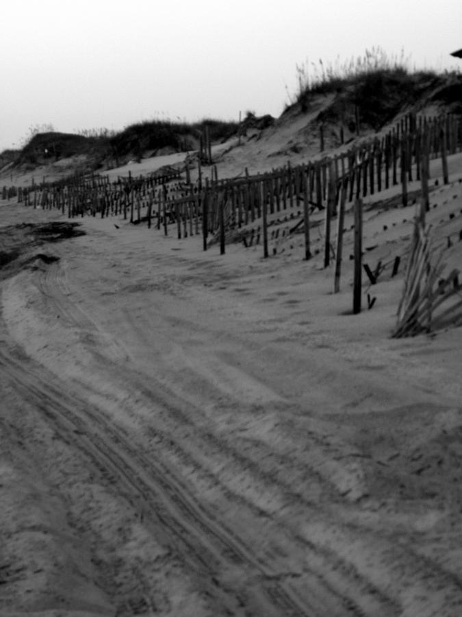 Dune fencing Photograph by Kim Galluzzo