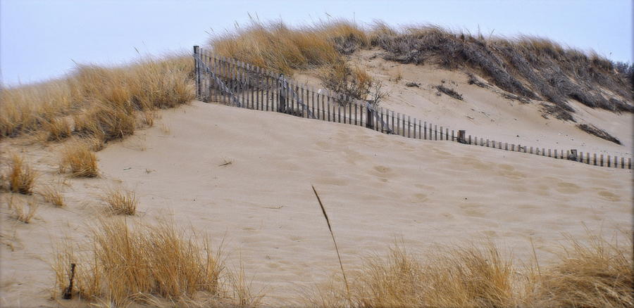 Dune Photograph by Marysue Ryan
