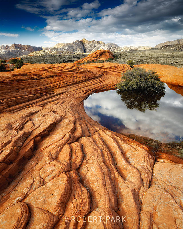Dune Pool Photograph by Robert Park - Fine Art America