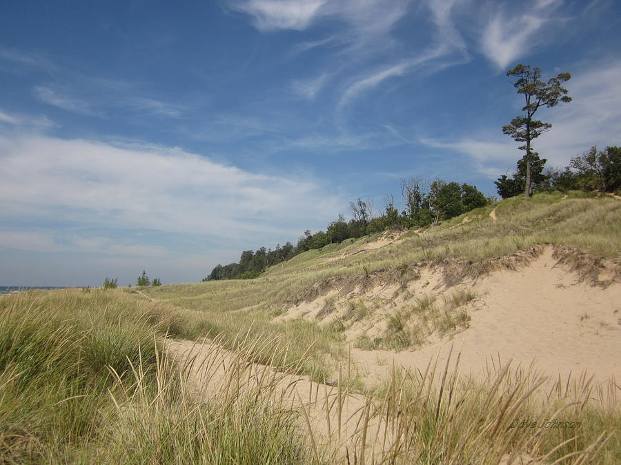 Dune Sentinel I Photograph by Dave Johnson - Fine Art America