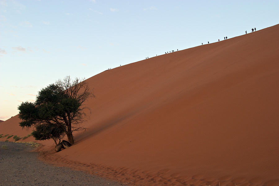 Dune Silhouettes Namibia Photograph by David Kleinsasser