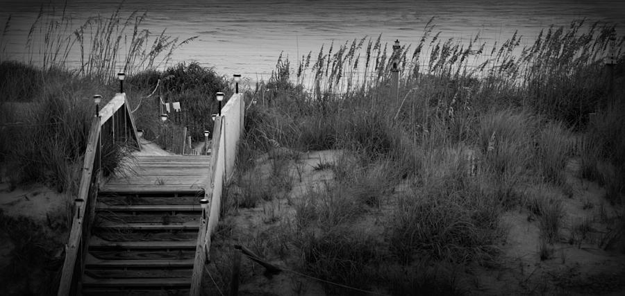 Dune Stairway  Photograph by Kim Galluzzo Wozniak