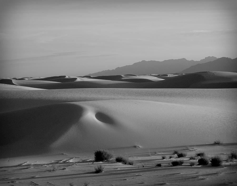 Black And White Photograph - Dunes 5 by Sean Wray