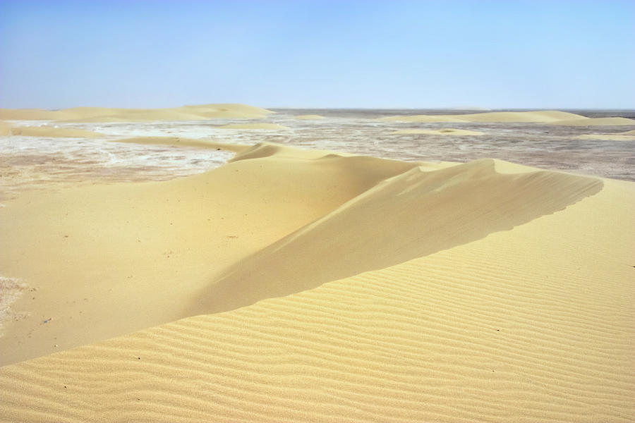 Dunes and sabkha Photograph by Paul Cowan