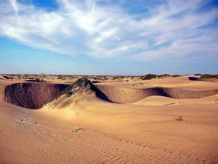 Dunes at Noon Photograph by Michael Cinnamond