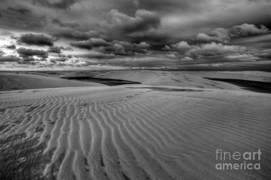 Dunes BW 1 Photograph by Andreas Jancso - Fine Art America