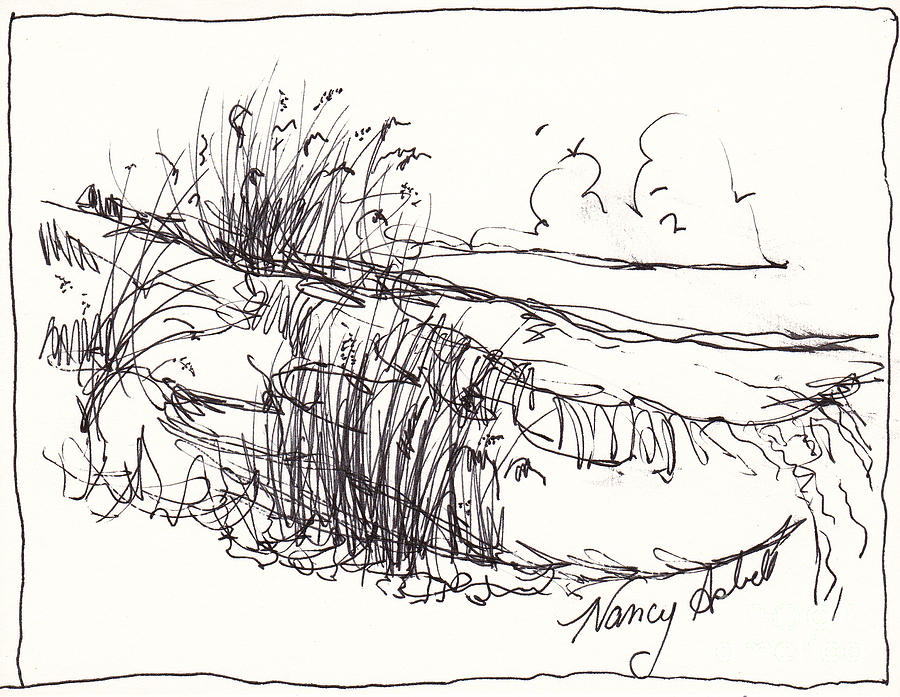 Tree Drawing - Dunes  by Michele Hollister - for Nancy Asbell