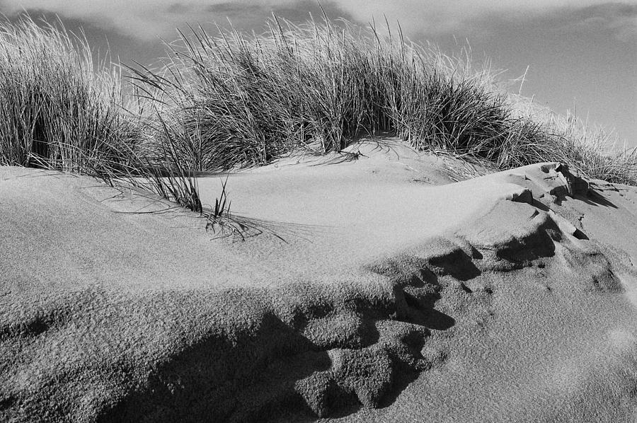 Dunes on a Staten Island Beach Photograph by Nancy De Flon