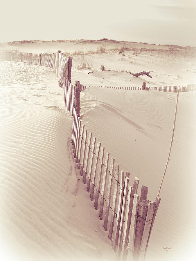 Dunes On The Cape Photograph by Trish Tritz