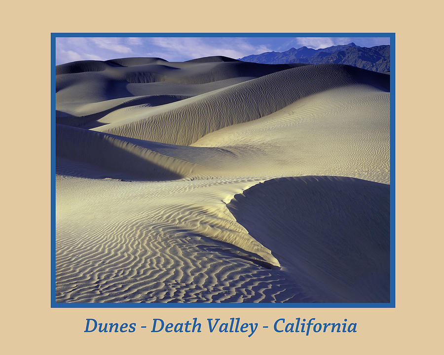 Dunes Poster Photograph by John Farley