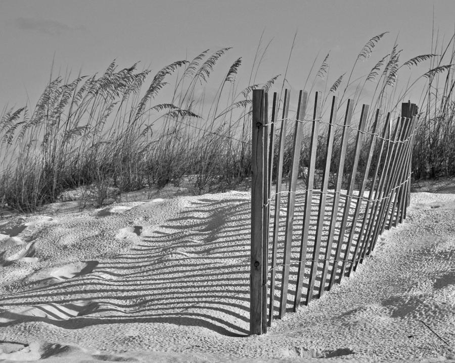 Dunes with Fence Photograph by Susan Cliett