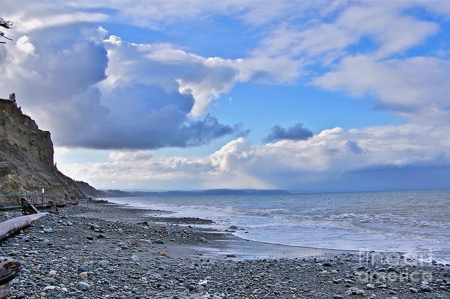 Dungeness Spit Shoreline Photograph by Sean Griffin