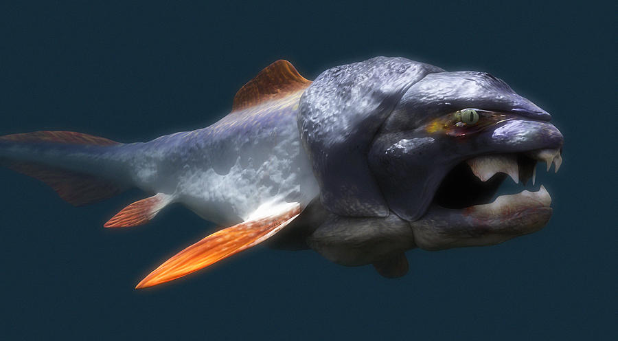 Dunkleosteus Prehistoric Fish by Christian Darkin