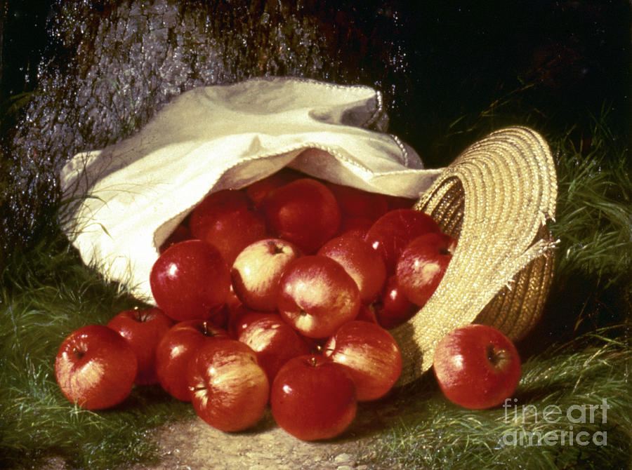 Dunning: Apples, 1869 Photograph by Granger