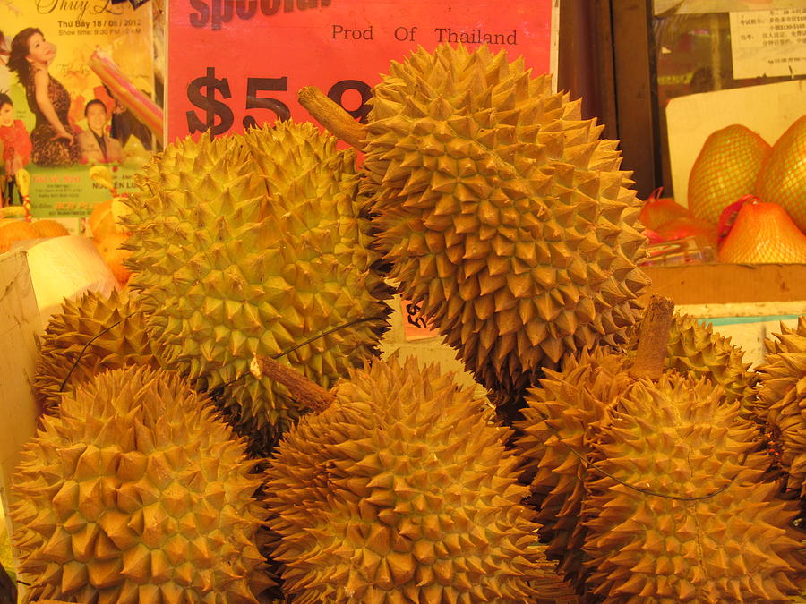 Durian Fruit Photograph by Alfred Ng