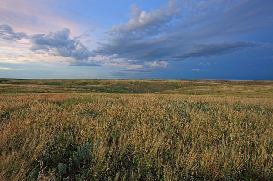 Dusk At Grasslands National Park Photograph by Robert Postma