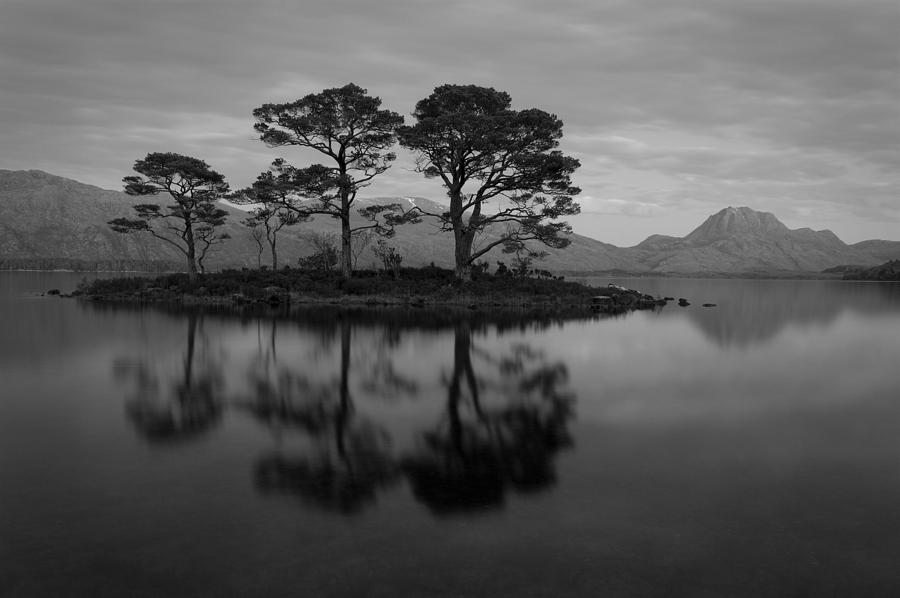 Tree Photograph - Dusk at Loch Maree by Howard Kennedy