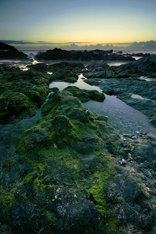 Sunset Photograph - Dusk by the ocean by Jaroslaw Grudzinski
