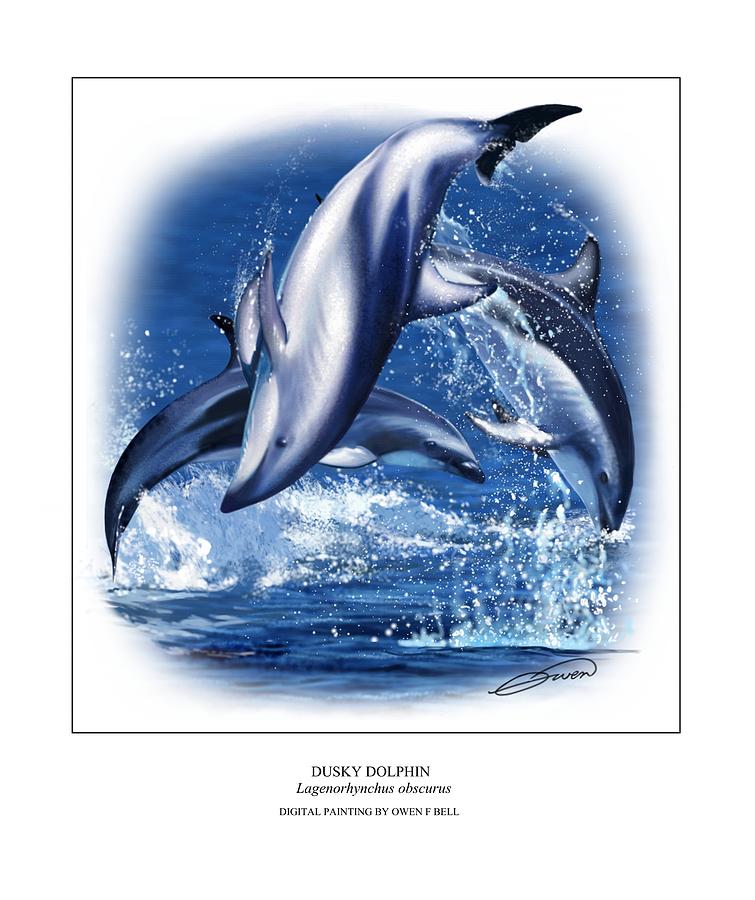 Dusky Dolphin Digital Art by Owen Bell