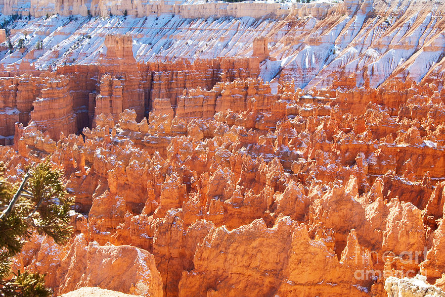 Dusted Hoodoos Photograph by Bob and Nancy Kendrick