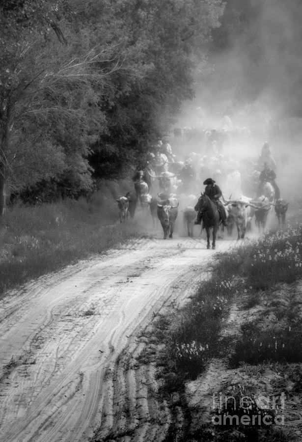 Dusty Trail Photograph by Fred Lassmann