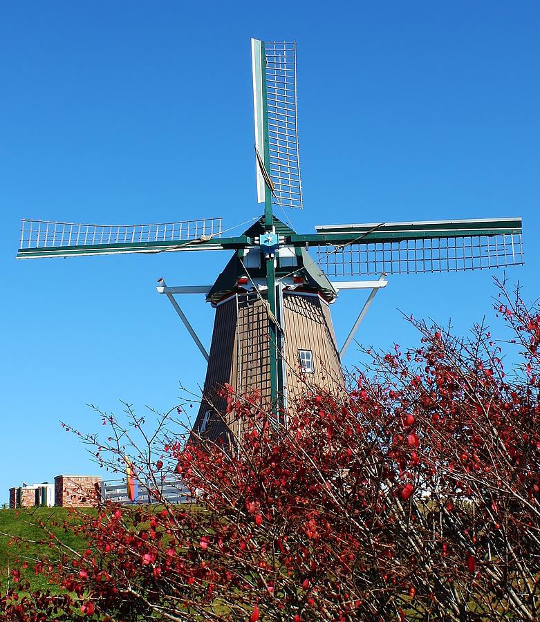 Dutch Windmil Photograph by Bruce Bley