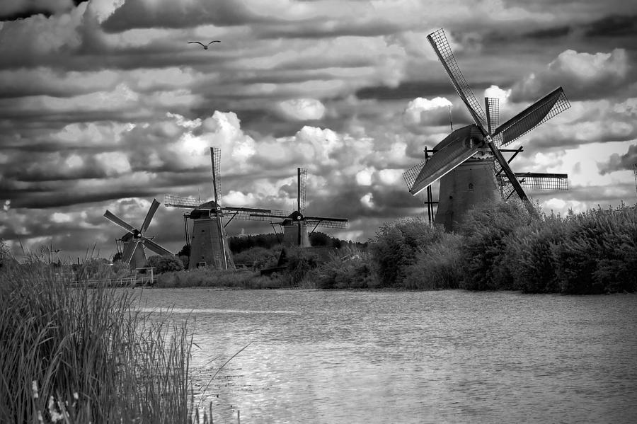 Dutch Windmills Photograph by Francesco Riccardo Iacomino