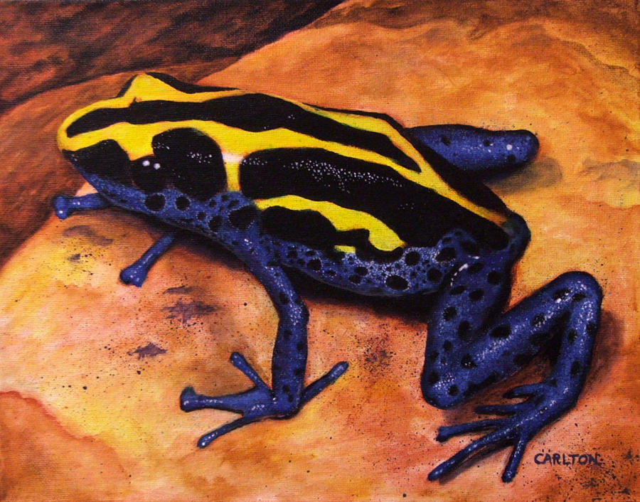 Dyeing Frog Painting by Brian Carlton