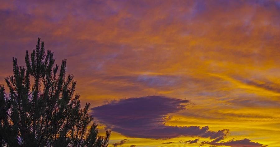 Sunset Photograph - Dynamic Sunset by Scott McGuire