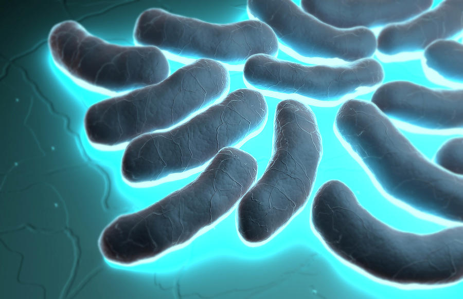 Horizontal Digital Art - E-coli Cells by MedicalRF.com