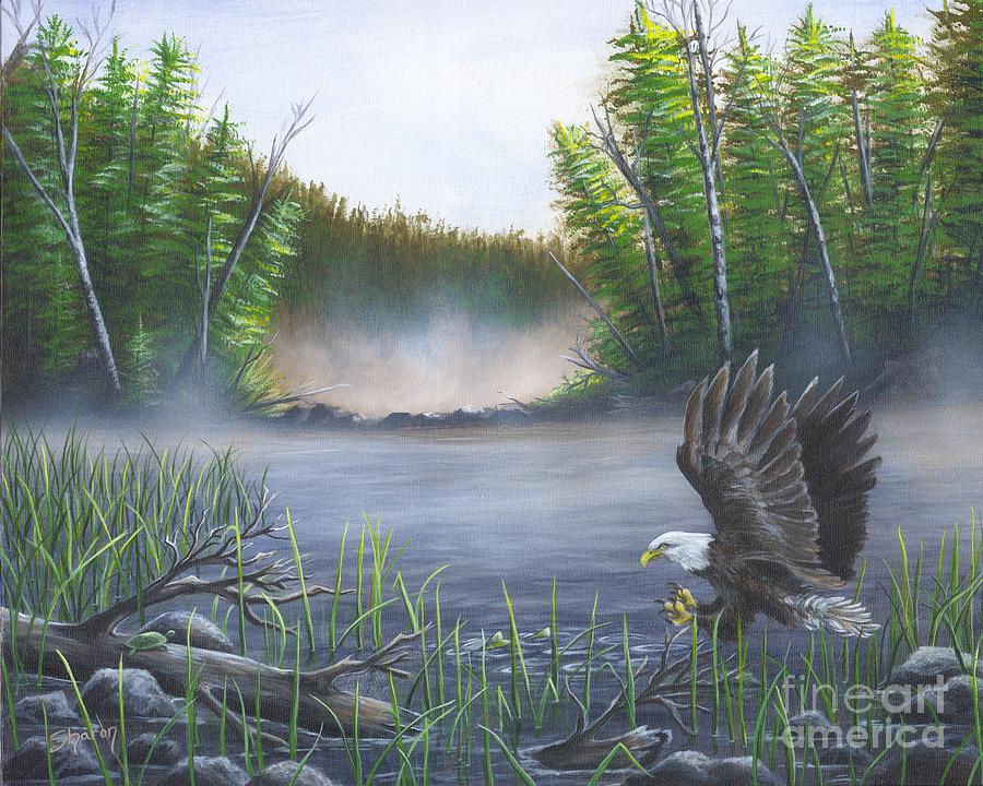 Eagle Flying Painting by Sharon Molinaro