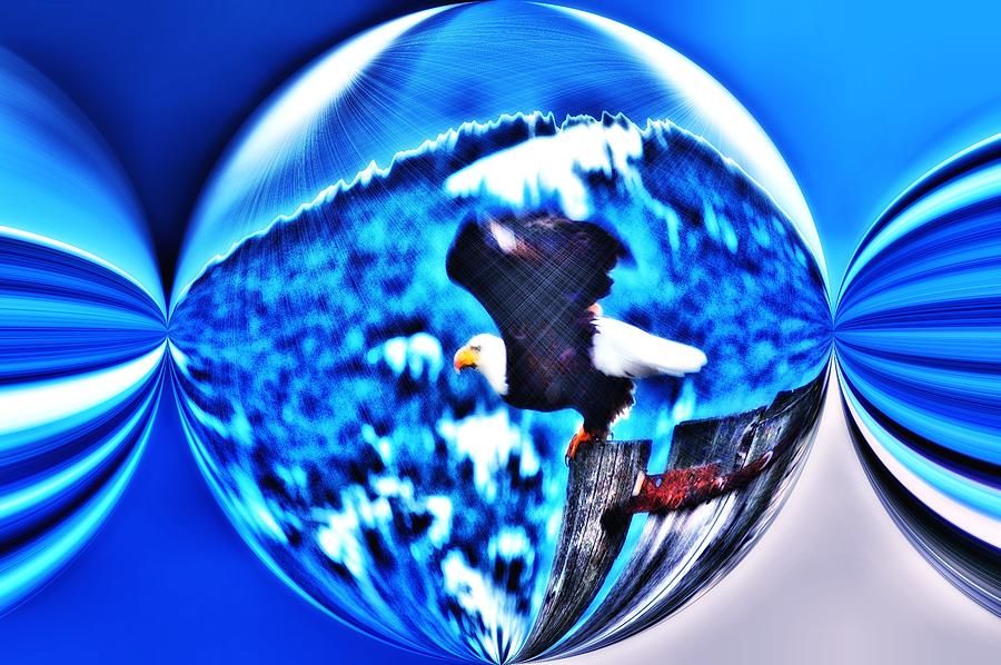 Eagle Digital Art - Eagle in Blue by Don Mann