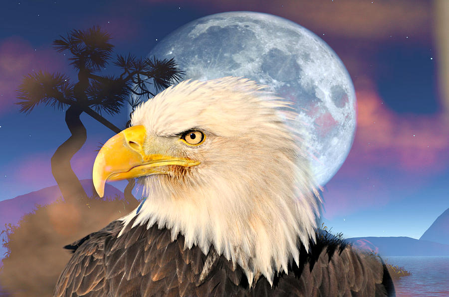 Eagle Photograph - Eagle Moon by Marty Koch