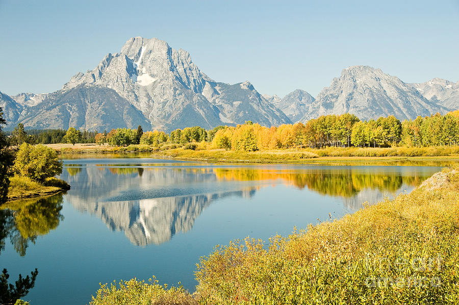 Tree Photograph - Early Autumn at Oxbow Bend by Bob and Nancy Kendrick