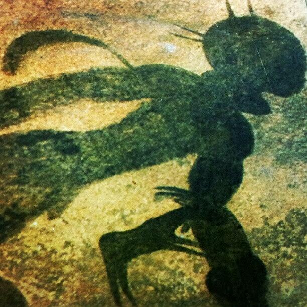 Early Cave Drawings. North Africa Photograph by Radiofreebronx Rox