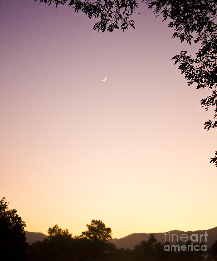 Sunset Photograph - Early Evening Moon by L E Jimenez