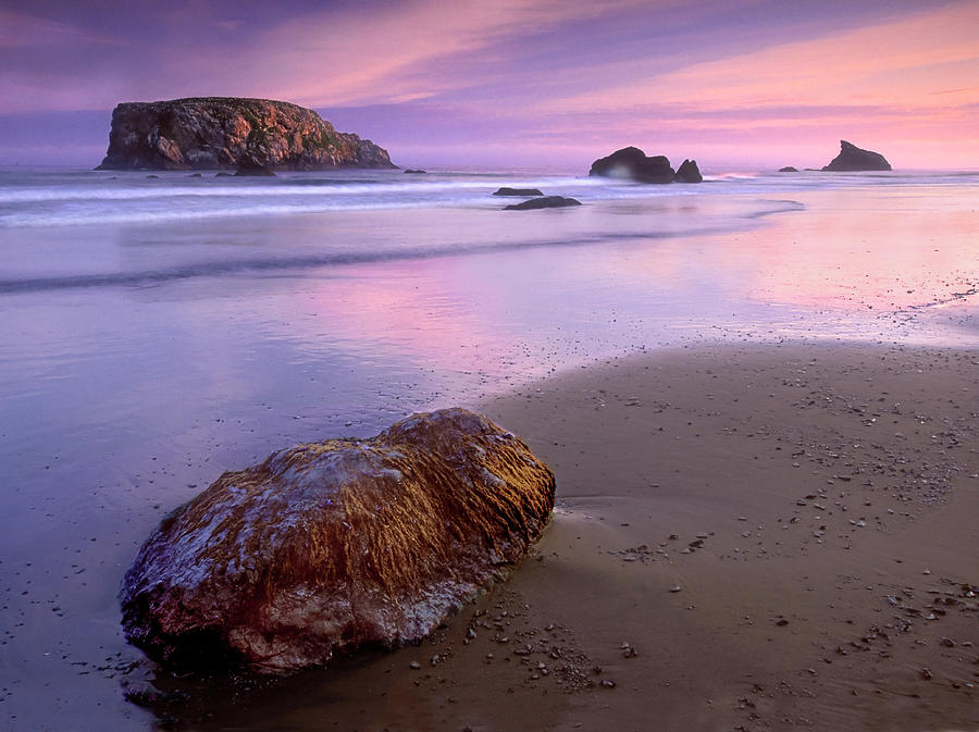 Early Light Oregon Coast Photograph by Dave Mills