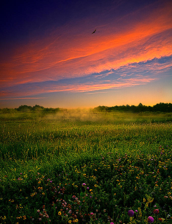 Early Morn Photograph by Phil Koch - Fine Art America