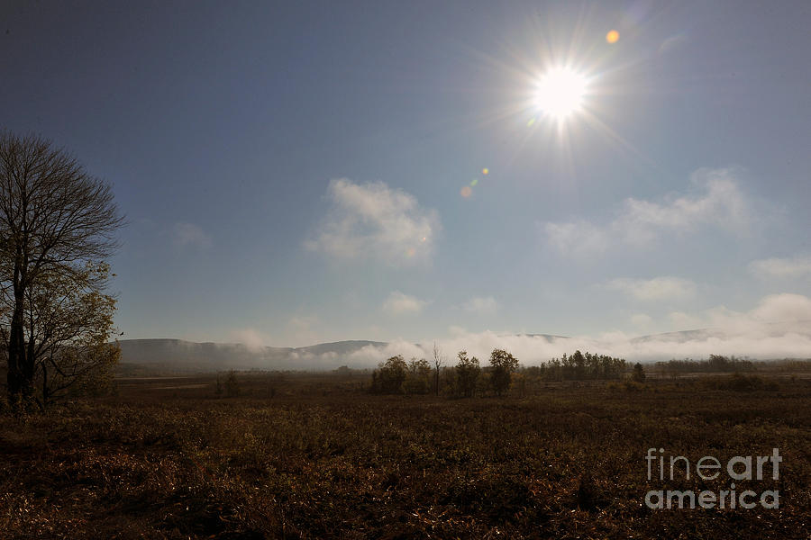 Early morning Canaan Valley Photograph by Dan Friend